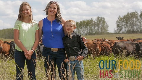 Our Food Has a Story: Celebrating Agriculture Month in Saskatchewan Agriculture  Crops Cattle  