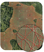 UAV AI stitched aerial shot