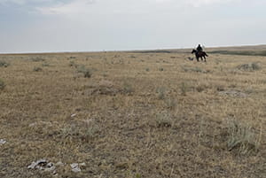 Man riding horse on native rangeland