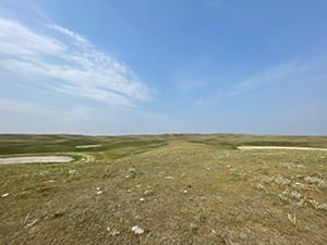 Native rangeland seen in Southwestern Saskatchewan