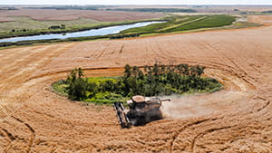 Combine in field