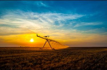 pivot irrigation in front of a sunset