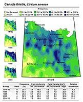 Map of Canada thistle field density