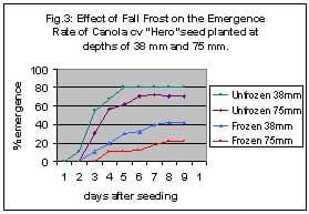 Effect of fall frost on emergence rate of canola
