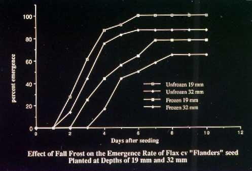 Effect of fall frost graph
