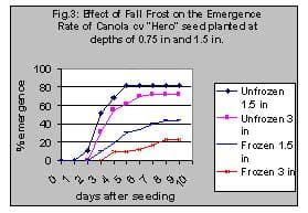 Effect of fall frost on emergence rate of canola