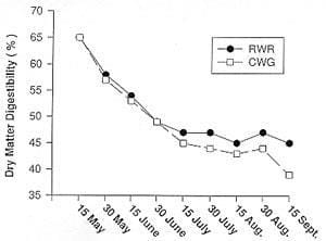 Effect of date of harvest on percentage of dry matter digestibility of Russian wild rye and crested wheatgrass