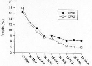Effect of date of harvest on protein content of Russian wild rye and crested wheatgrass forage