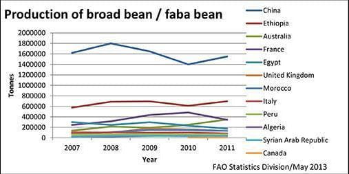 World production of broad bean and faba bean