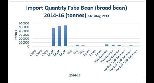 world import of broad beans - quantity in tonnes