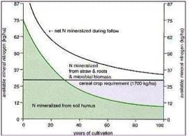 Model Showing Past, Present and Future Soil Nitrogen Trends