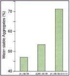 Effect of Legume Green Manure and Legume-Grass Hay Crop on Surface Soil Structure