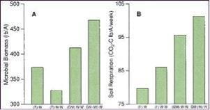 Effect of Legume Green Manure on Microbial Biomass and Respiration in Topsoil
