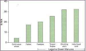 Effect of Green Manures on Nitrogen Mineralized in Top 2 Feet of a Brown Loam