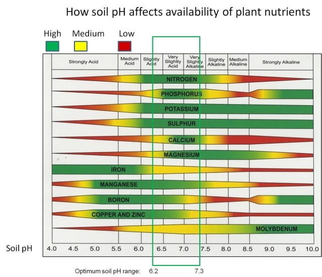 a graphic of How soil pH affects availability of plant nutrients