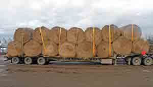 Truckload of round bales