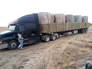 Trailer loaded with bales