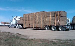 Trailer loaded with bales