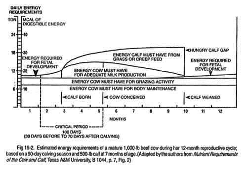 Body Condition Scoring Animal Health And Welfare