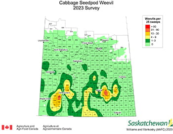 Cabbage Seedpod Weevil map for 2023