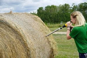 Livestock and feed extension specialist collecting a sample of a hay bale. 