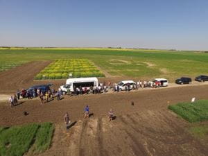 Drone Photo of an Agri-ARM field day. Aerial view of a group of people gathered along a dirt road beside several vehicles and trailers at an agricultural field site. Nearby plots of green and yellow crops are laid out in sections.