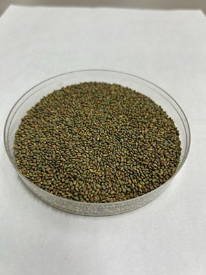 Alfalfa seed in a bowl