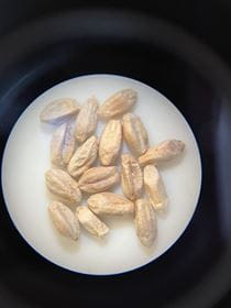 Wheat seed infected with fusarium