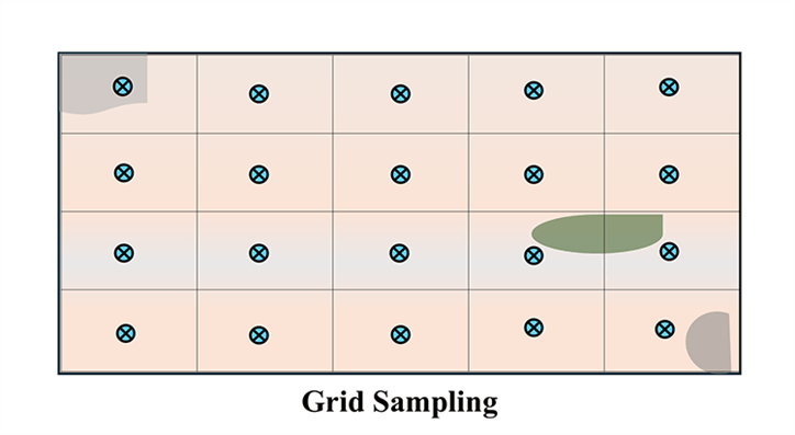 Illustration of grid sampling method. A pink rectangle representing a plot with a with a five by four grid containing blue dots per grid to show sampling areas.