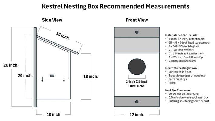 Measurements and materials needed to build a kestrel nesting box