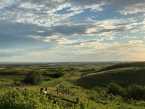 A wide rural landscape with rolling hills and farmland. A dirt path runs through the middle of the scene, bordered by a fence line, under a partly cloudy sky