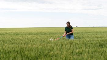 Specialist using a sweep net in a field