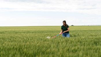 Specialist using a sweep net in a field