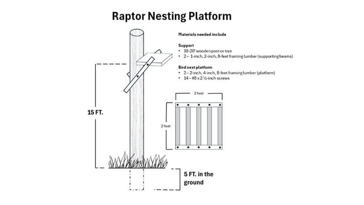 Measurements and materials needed to build a raptor nesting platform