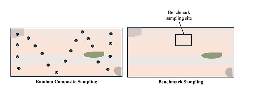 Two Pink squares representing plots. Blue dots on one and  a square on the other marking sampling locations 