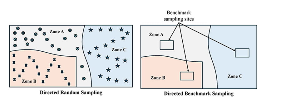 Two rectangles representing plots. They are divied into zones A, B and C with grey, pink and Blue colours representing sampling sites