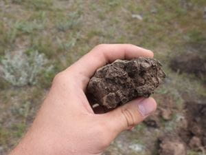 A hand holding a piece of soil.