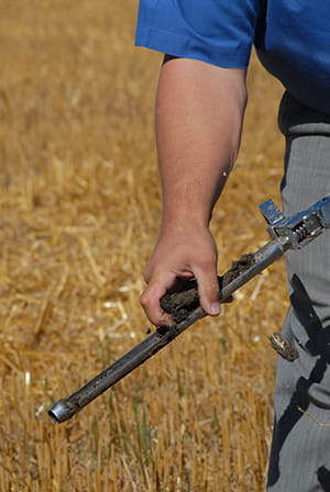 A hand holding a probe for soil testing on the field. There's some soil on the probe. 
