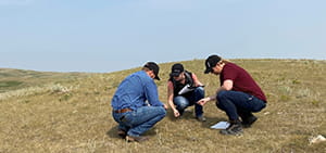 Extension specialists in a field