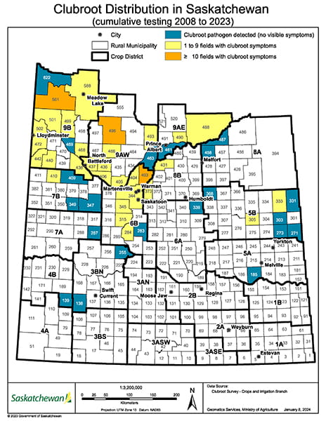 Clubroot distribution in Saskatchewan from 2008 to 2023