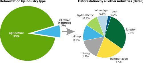 Deforestation in Saskatchewan, Productivity and Resilience