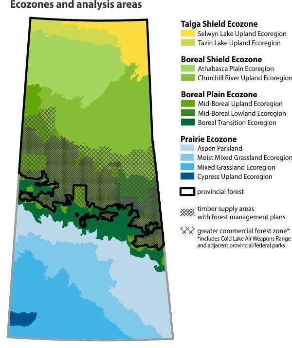 Ecozones and analysis areas