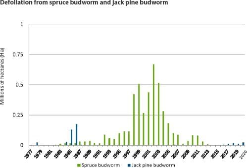 Defoliation from spruce budworm and jack pine budworm