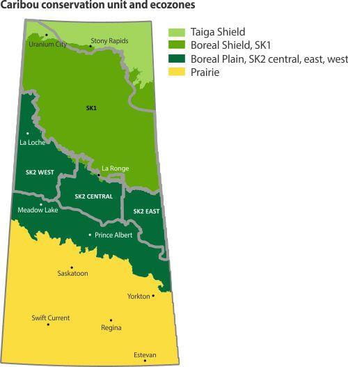 Map of caribou conservation unit and ecozones in Saskatchewan. Includes Taiga Shield, Boreal Shield, and Boreal Plain.
