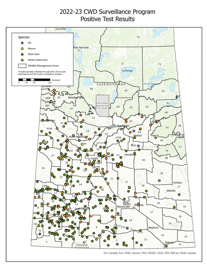 2022-2023 CWD Positive Map