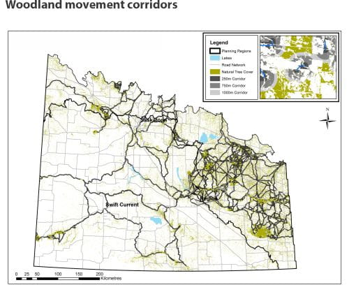 Woodland movement corridors