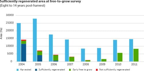 Sufficiently regenerated area at free-to-grow survey