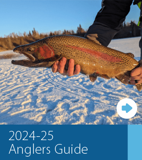 Guide cover photo for the 2024-25 anglers guide - man releasing fish