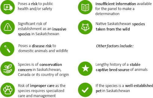 Risk criteria and species graphic