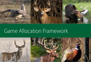 Game Allocation Framework